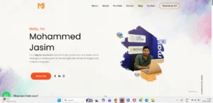 wordpress development